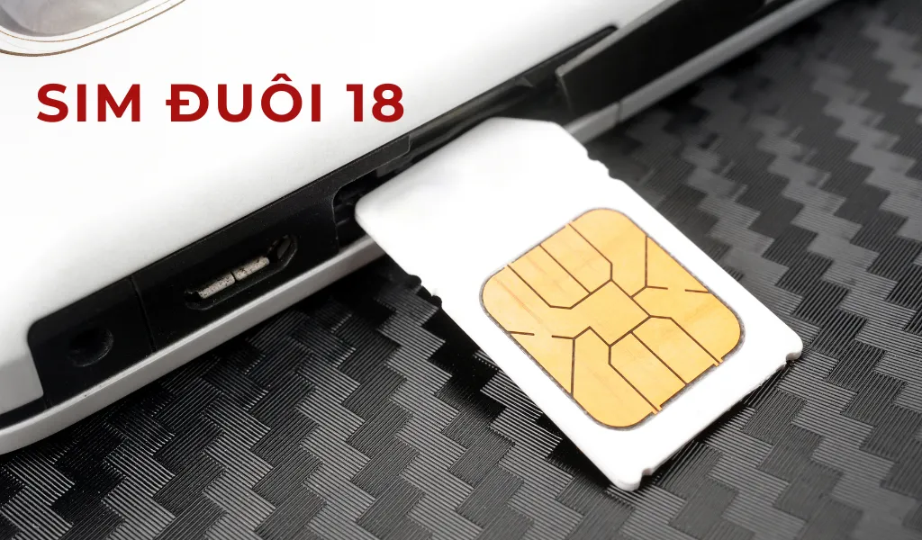 Sim đuôi số 18 gắn với ý nghĩa “Sinh Phát Tài”